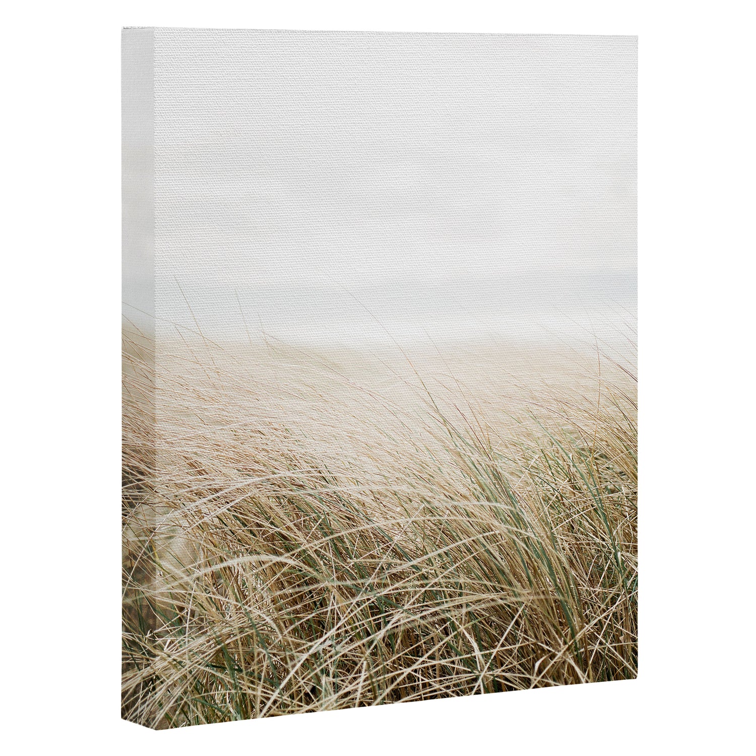 Dune grass | Ireland travel photogragraphy print | At the beach Canvas Print Gallery Image 3