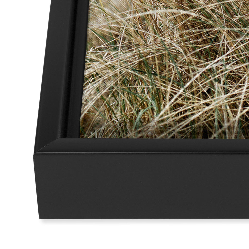 Dune grass | Ireland travel photogragraphy print | At the beach Framed Canvas Print Gallery Image 3
