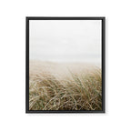 Dune grass | Ireland travel photogragraphy print | At the beach Framed Canvas Print Gallery Image 6