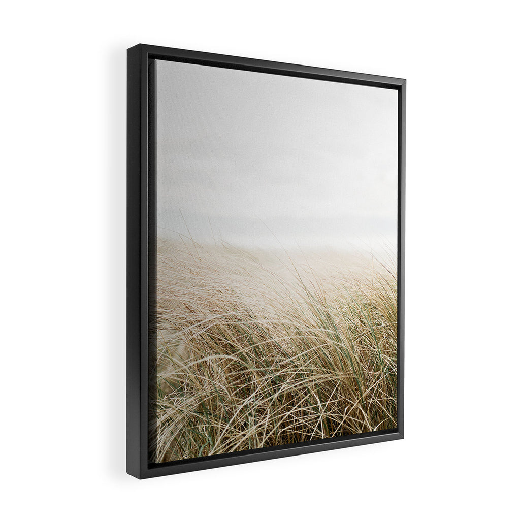 Dune grass | Ireland travel photogragraphy print | At the beach Framed Canvas Print Gallery Image 2