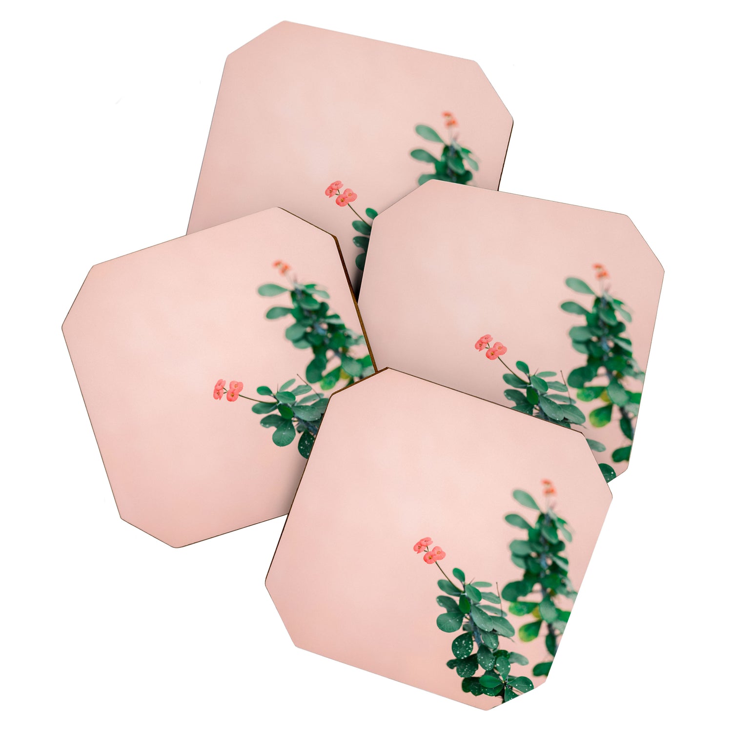 Floral photography print | Green on coral | Botanical photo art Coaster Gallery Image 1