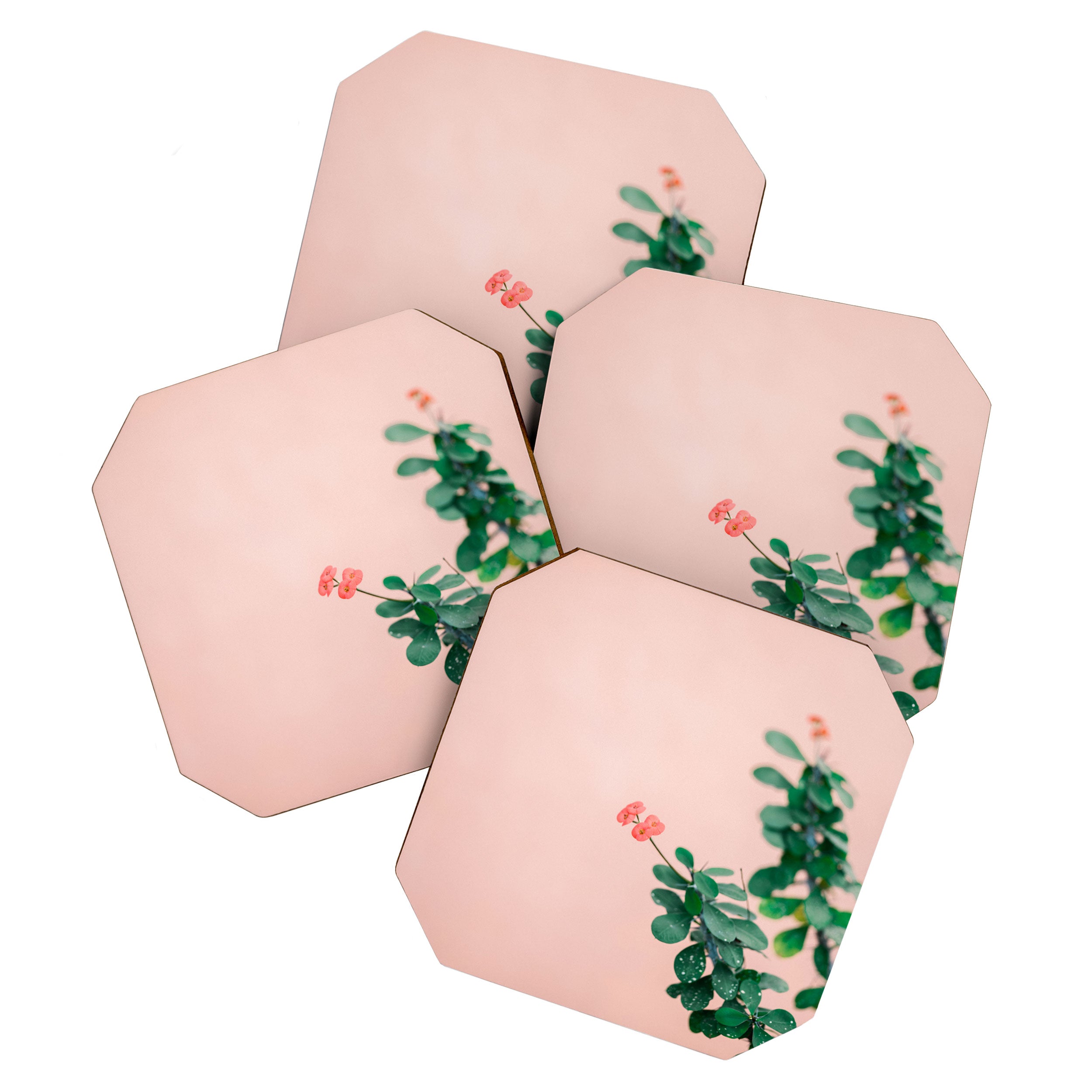 Floral photography print | Green on coral | Botanical photo art Coaster Gallery Image 1