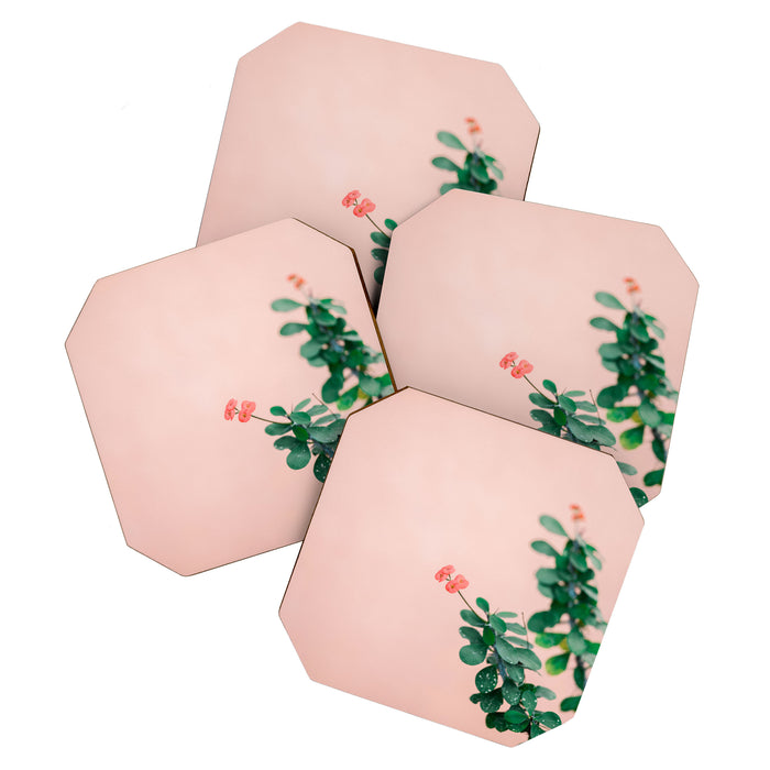 Floral photography print | Green on coral | Botanical photo art Coaster Gallery Image 1