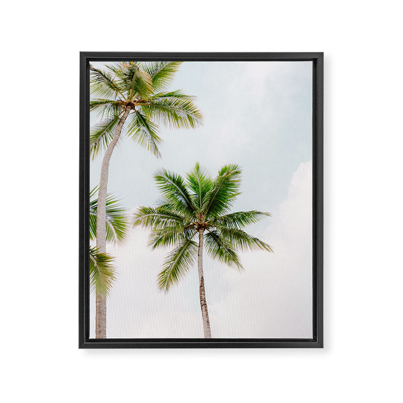 For the love of palm trees | Dominican Republic travel photography print | Summer time Framed Canvas Print Gallery Image 3
