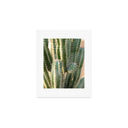 Gold & Green Cacti | Marrakech Botanical Photography Art Print Gallery Image 1
