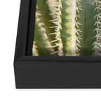 Gold & Green Cacti | Marrakech Botanical Photography Framed Canvas Print Gallery Image 3