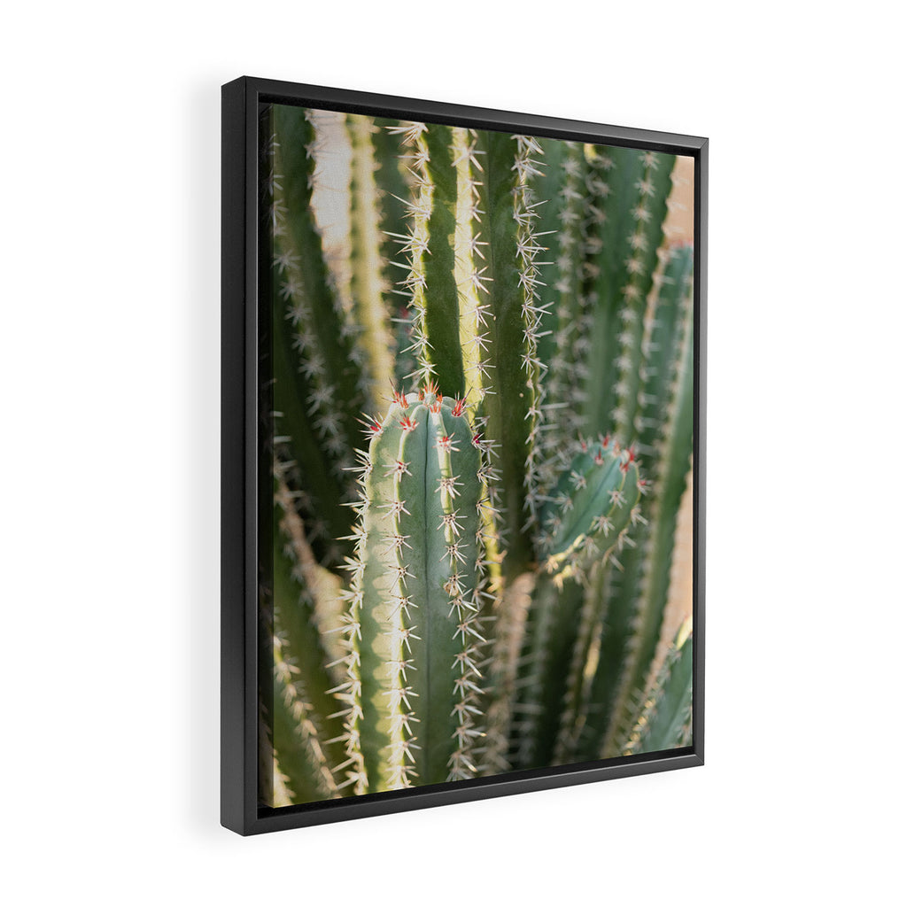 Gold & Green Cacti | Marrakech Botanical Photography Framed Canvas Print Gallery Image 2
