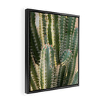 Gold & Green Cacti | Marrakech Botanical Photography Framed Canvas Print Gallery Image 2