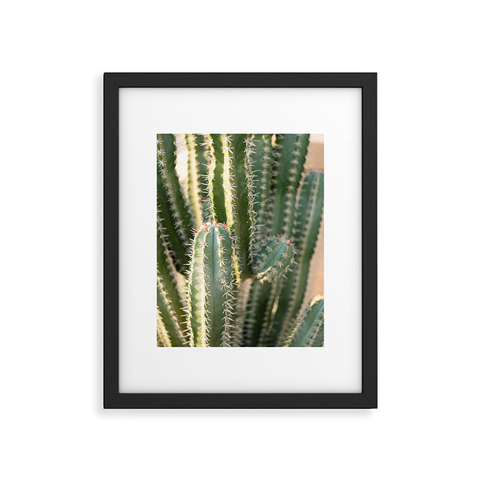 Gold & Green Cacti | Marrakech Botanical Photography Framed Art Print Gallery Image 1