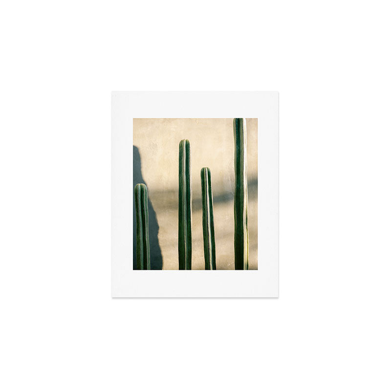 Green and Golden Cacti | Botanical travel photography Oaxaca Art Print Gallery Image 1