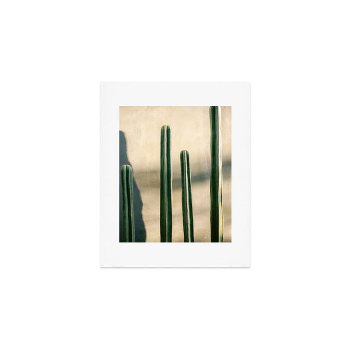 Green and Golden Cacti | Botanical travel photography Oaxaca Art Print Gallery Image 1