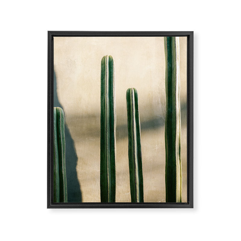 Green and Golden Cacti | Botanical travel photography Oaxaca Framed Canvas Print Gallery Image 6