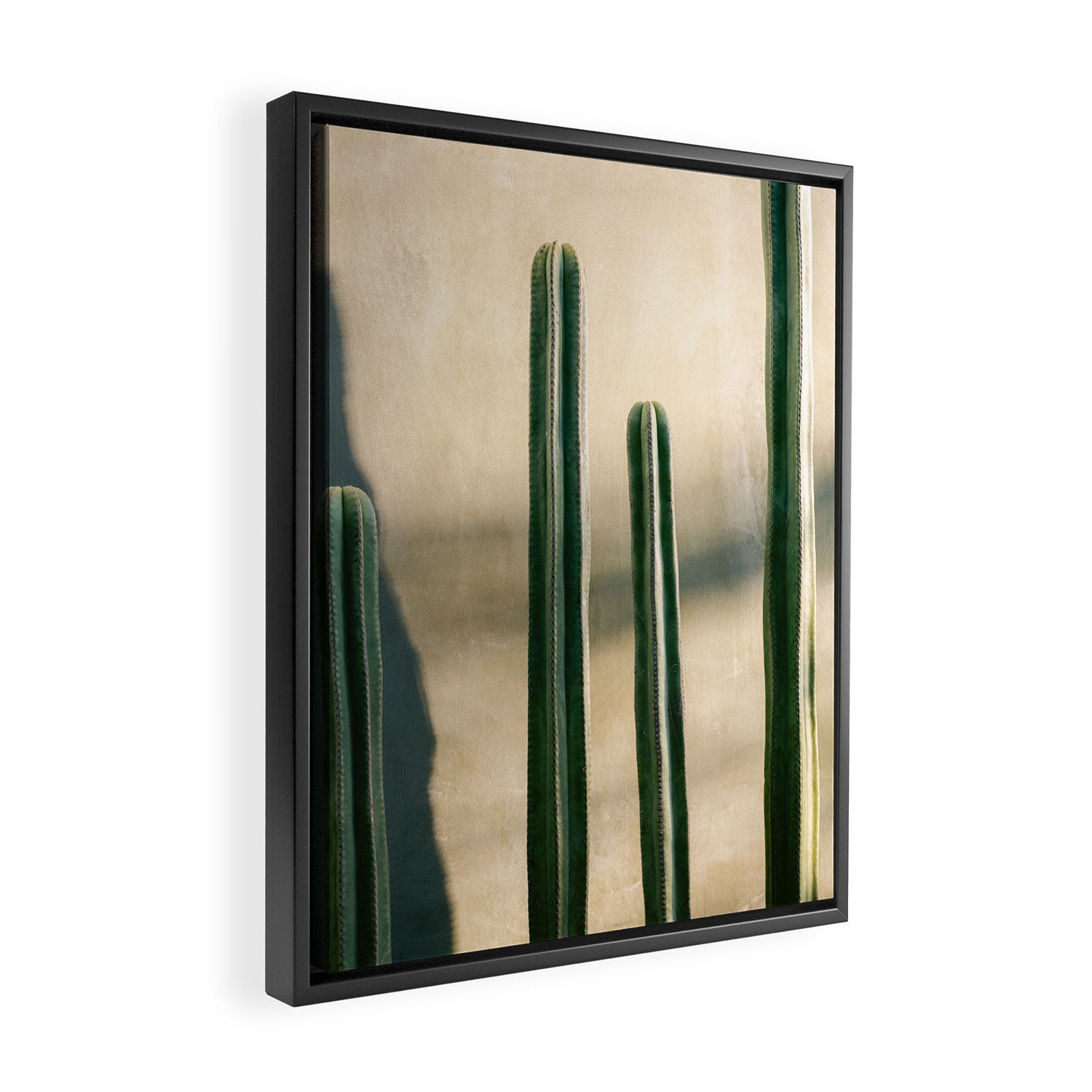 Green and Golden Cacti | Botanical travel photography Oaxaca Framed Canvas Print Gallery Image 2