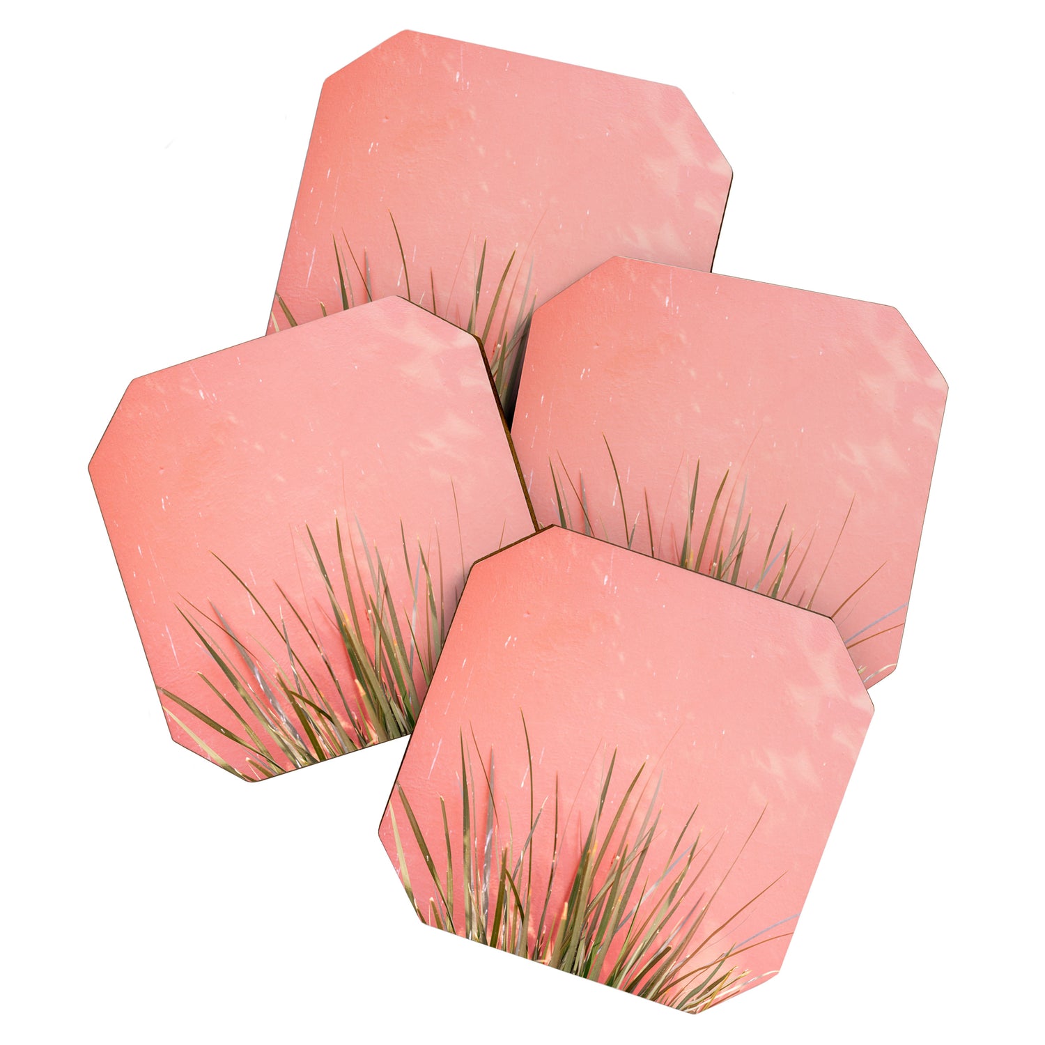 Green on Pink | Mexico travel photography print | Botanical San Miguel de Allende Coaster Gallery Image 1