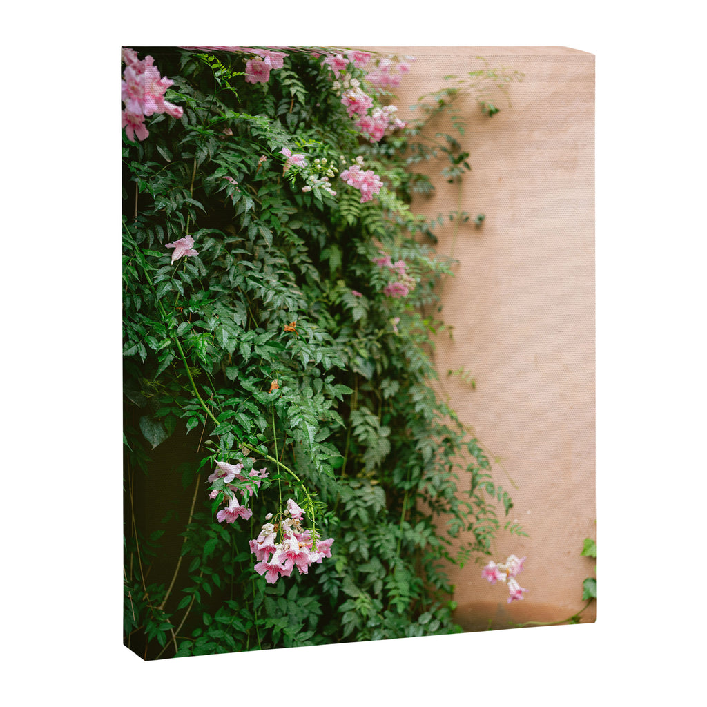 Greens of Morocco | Travel Photography Canvas Print Gallery Image 6