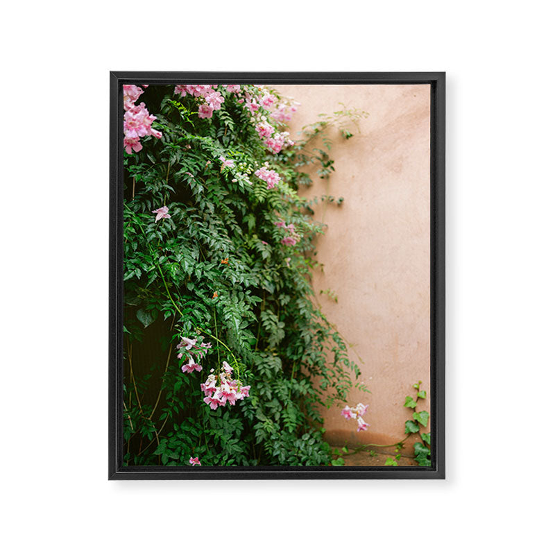 Greens of Morocco | Travel Photography Framed Canvas Print Gallery Image 6