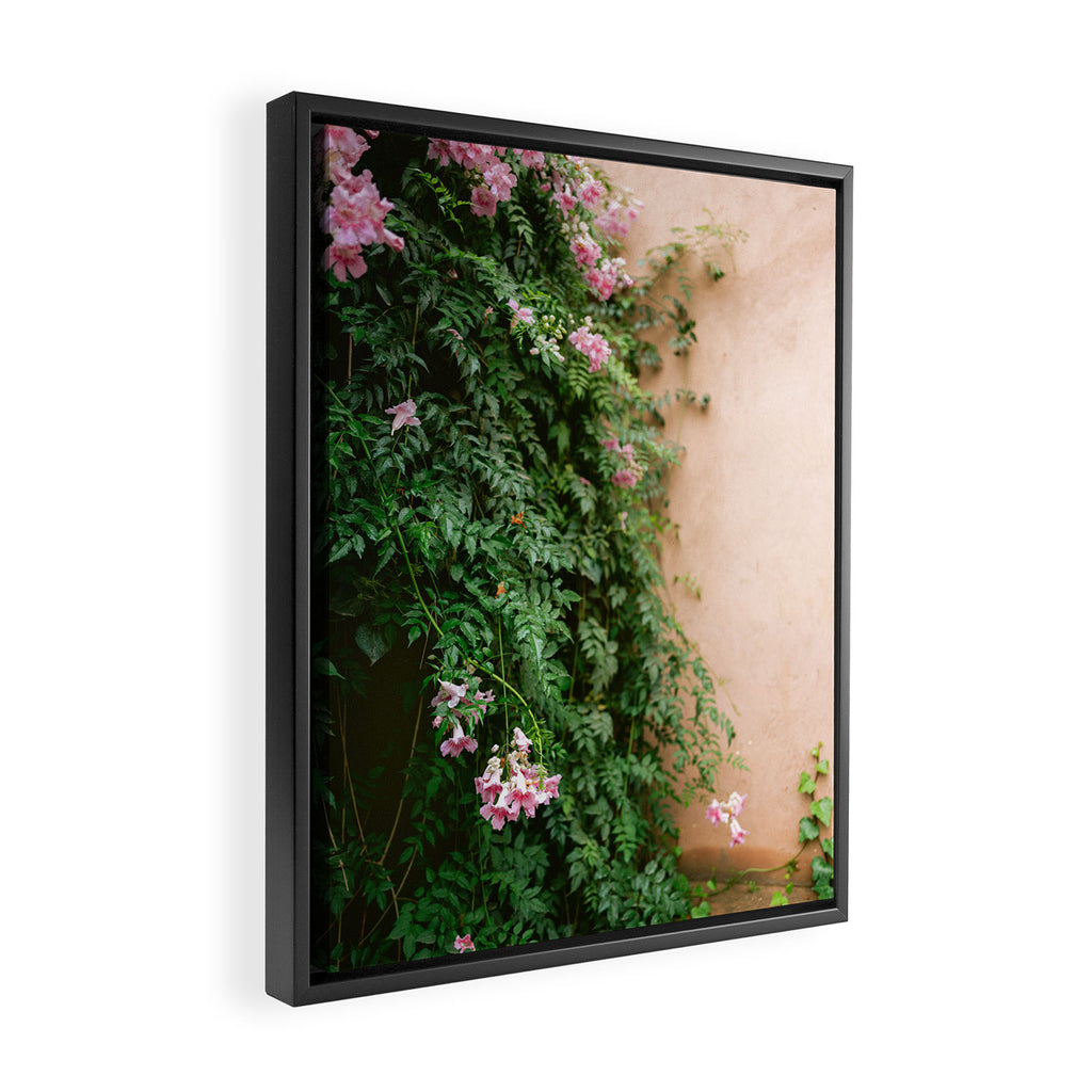 Greens of Morocco | Travel Photography Framed Canvas Print Gallery Image 2
