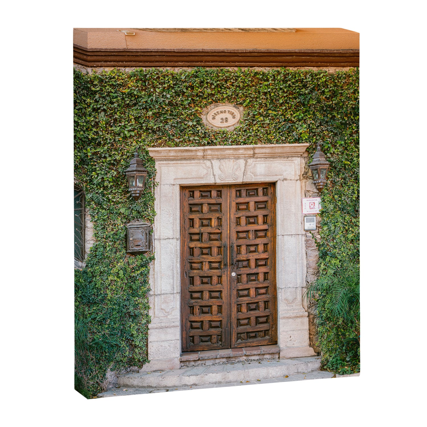 Mexico | The botanical door San Miguel de Allende Canvas Print Gallery Image 3