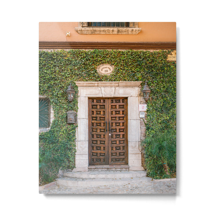 Mexico | The botanical door San Miguel de Allende Metal Print Gallery Image 1