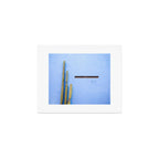 Oaxaca Cacti II | Mexico travel photography Art Print Gallery Image 1