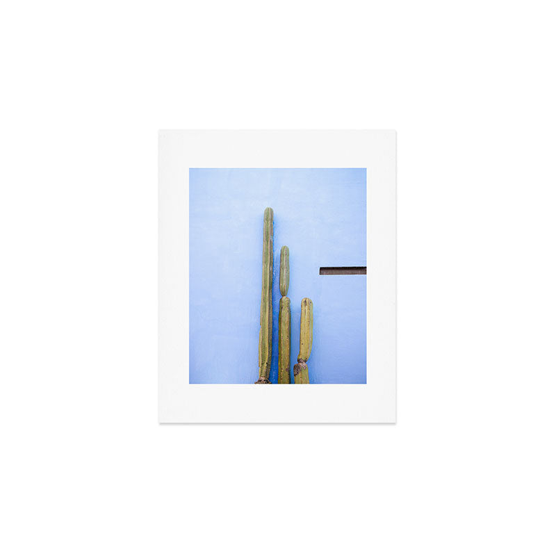 Oaxaca Cacti | Mexico travel photography Art Print Gallery Image 1