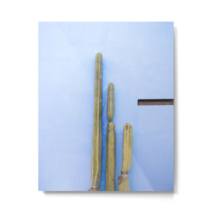 Oaxaca Cacti | Mexico travel photography Metal Print Gallery Image 1