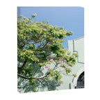 Oaxaca Greens | Botanical Mexico Travel Photography Canvas Print Gallery Image 6
