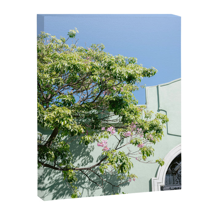 Oaxaca Greens | Botanical Mexico Travel Photography Canvas Print Gallery Image 1