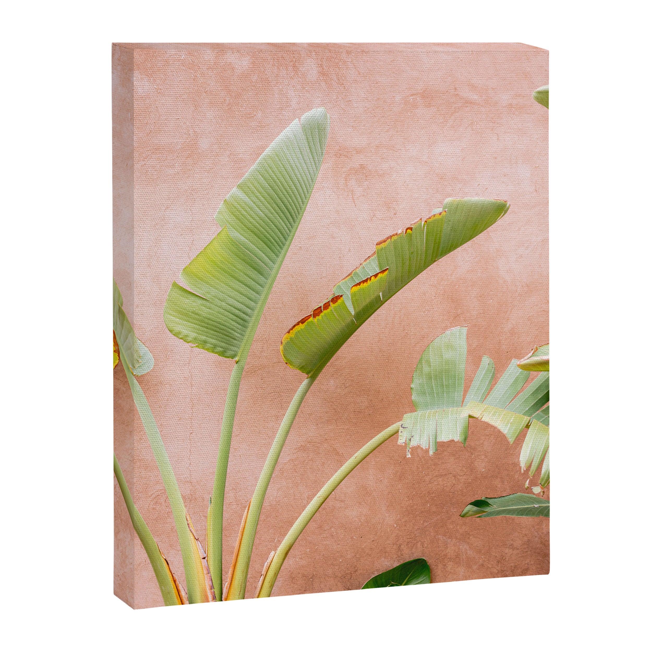 Palms of Ourika Morocco | Pastel Travel Photography Marrakech | Square Canvas Print Gallery Image 8