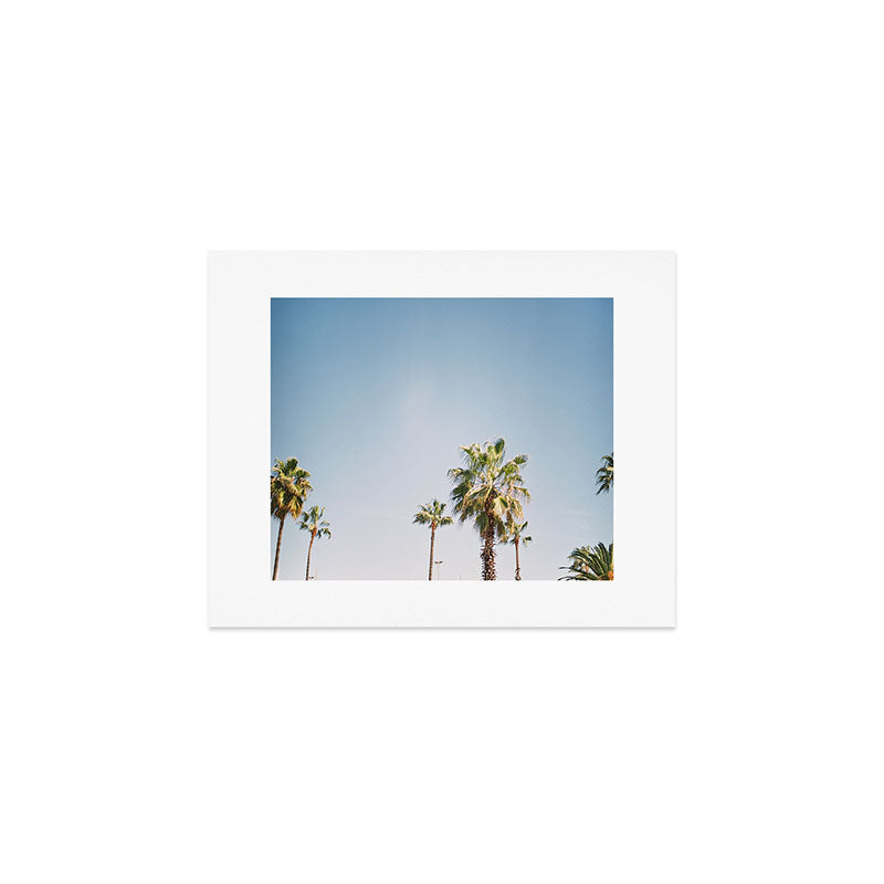 Palmtrees in Barcelona Europe | Blue Sky, Green Palm Trees Tropical vibe Art Print Gallery Image 1