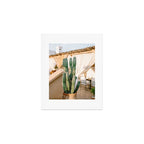 Rooftop Cactus | Morocco Travel Photography Art Print Gallery Image 1