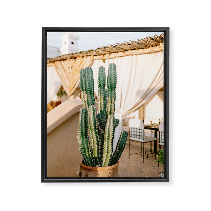 Rooftop Cactus | Morocco Travel Photography Framed Canvas Print Gallery Image 6