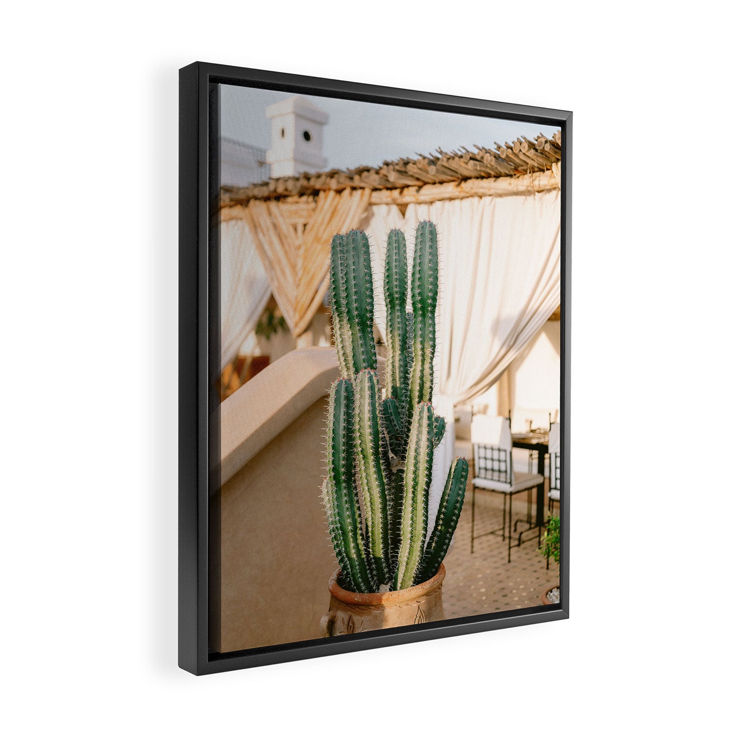 Rooftop Cactus | Morocco Travel Photography Framed Canvas Print Gallery Image 2