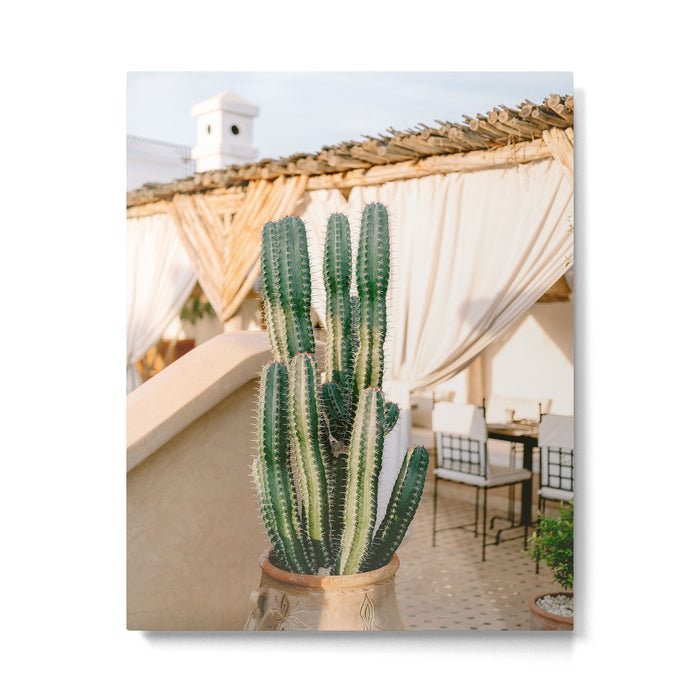 Rooftop Cactus | Morocco Travel Photography Metal Print Gallery Image 1
