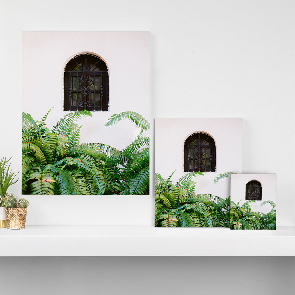 Santo Domingo window | Minimalistic botanical travel photography print | Dominican Republic wall art Canvas Print Gallery Image 3