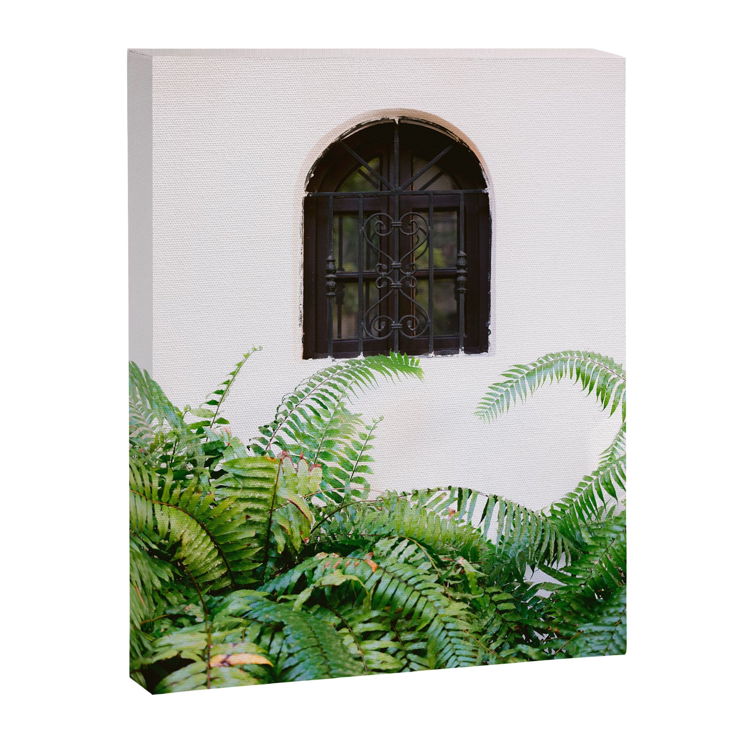 Santo Domingo window | Minimalistic botanical travel photography print | Dominican Republic wall art Canvas Print Gallery Image 3
