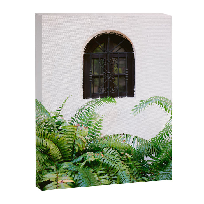 Santo Domingo window | Minimalistic botanical travel photography print | Dominican Republic wall art Canvas Print Gallery Image 1