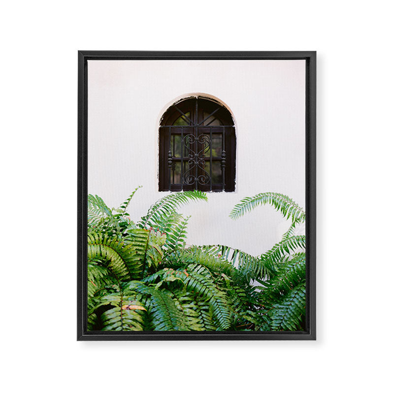 Santo Domingo window | Minimalistic botanical travel photography print | Dominican Republic wall art Framed Canvas Print Gallery Image 3