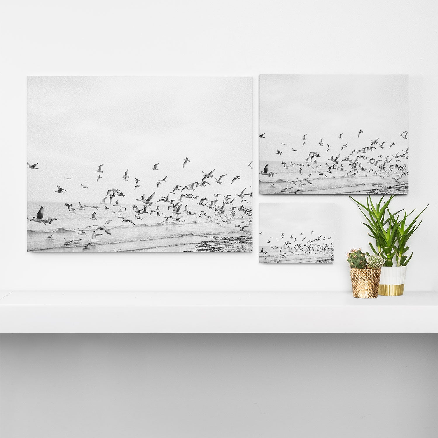 "Seagulls" | Coastal black and white photo | Film photography | Beach Canvas Print Gallery Image 3