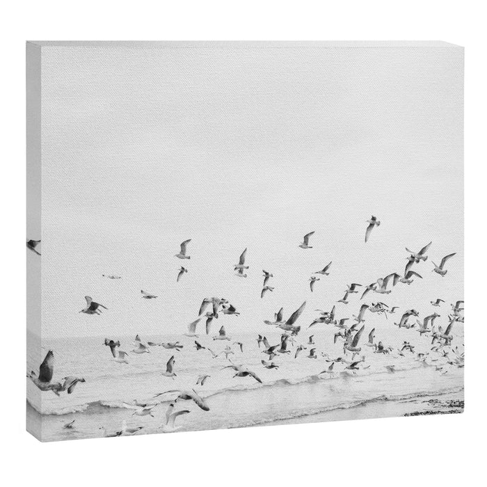 "Seagulls" | Coastal black and white photo | Film photography | Beach Canvas Print Gallery Image 1