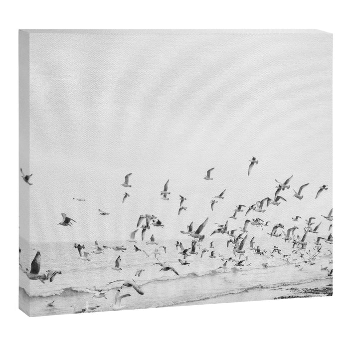 "Seagulls" | Coastal black and white photo | Film photography | Beach Canvas Print Gallery Image 1