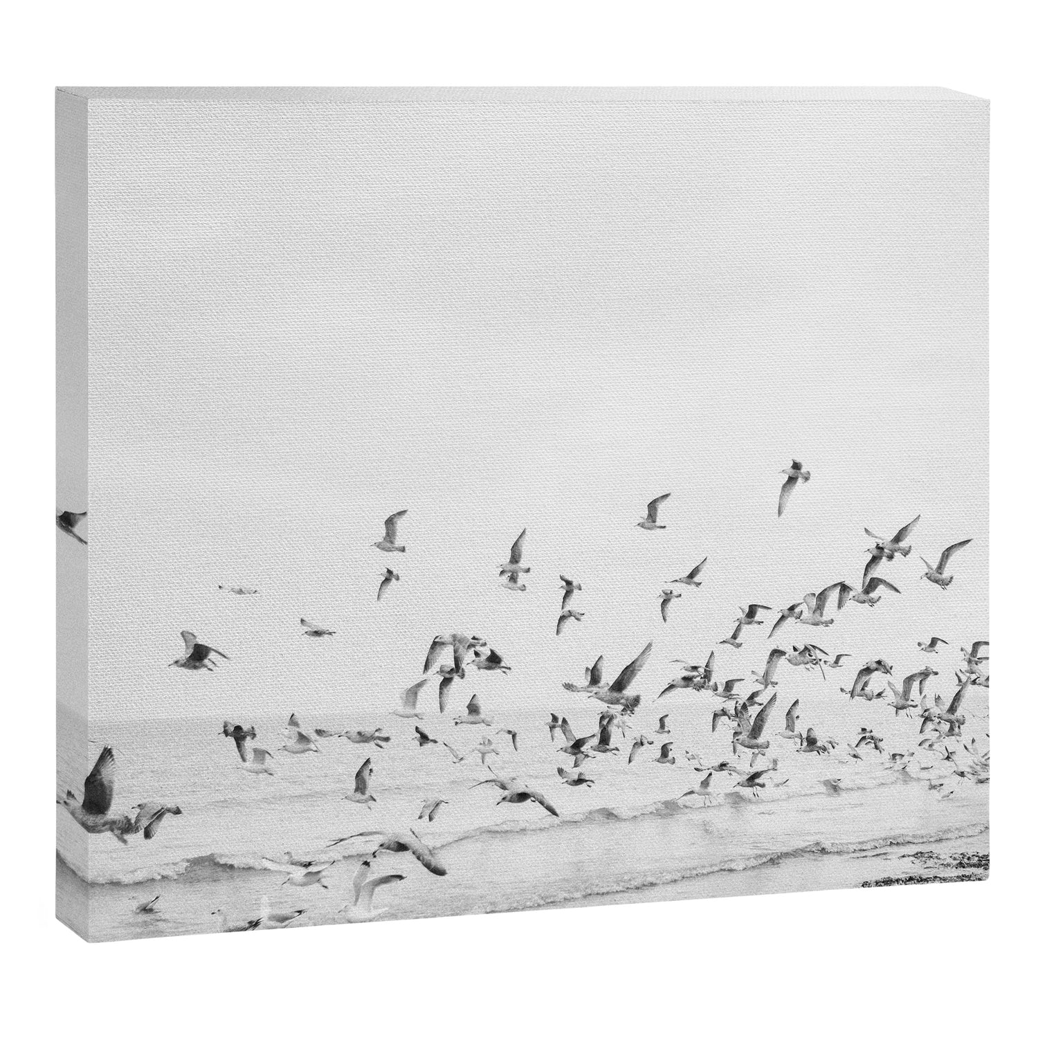 "Seagulls" | Coastal black and white photo | Film photography | Beach Canvas Print Gallery Image 3