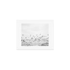 "Seagulls" | Coastal black and white photo | Film photography | Beach Art Print Gallery Image 1
