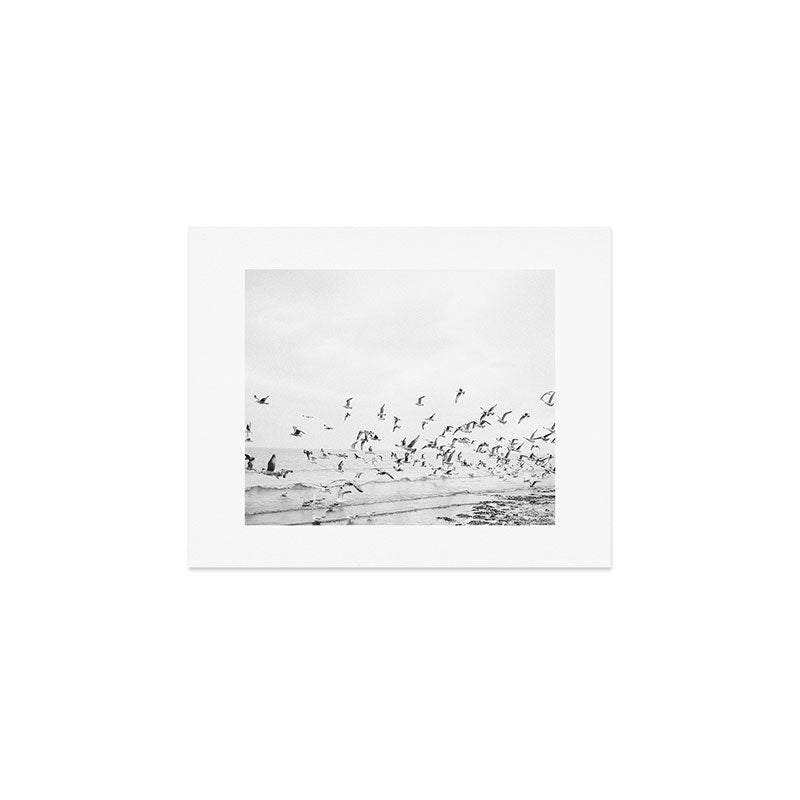 "Seagulls" | Coastal black and white photo | Film photography | Beach Art Print Gallery Image 1