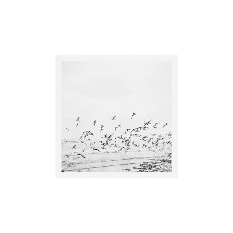 "Seagulls" | Coastal black and white photo | Film photography | Beach - square Art Print Gallery Image 1