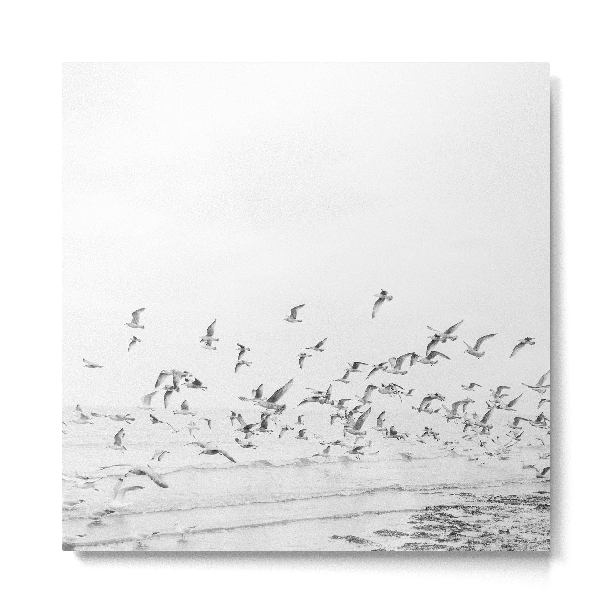 "Seagulls" | Coastal black and white photo | Film photography | Beach - square Metal Print Gallery Image 2
