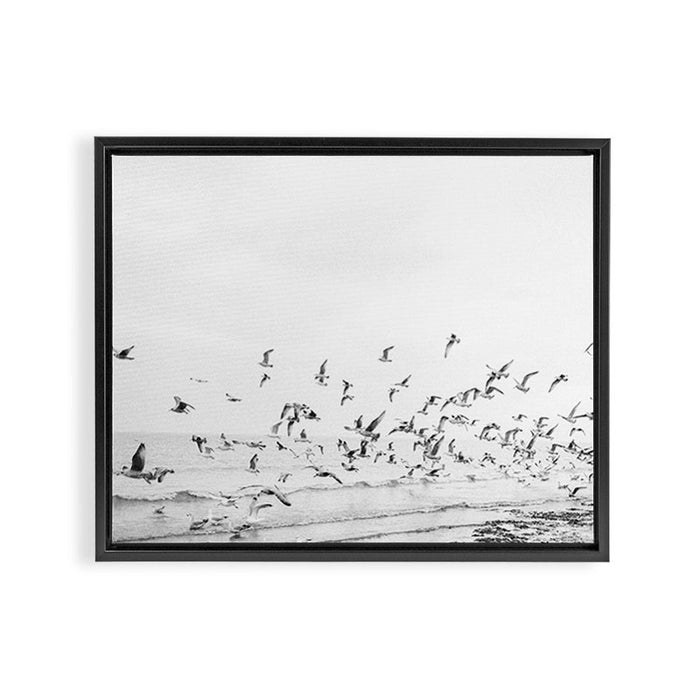"Seagulls" | Coastal black and white photo | Film photography | Beach Framed Canvas Print Gallery Image 1
