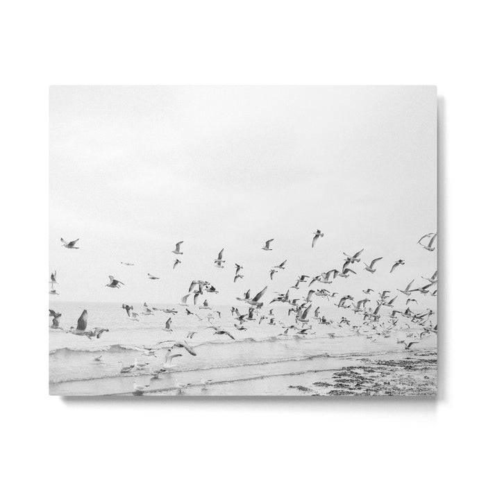 "Seagulls" | Coastal black and white photo | Film photography | Beach Metal Print Gallery Image 1