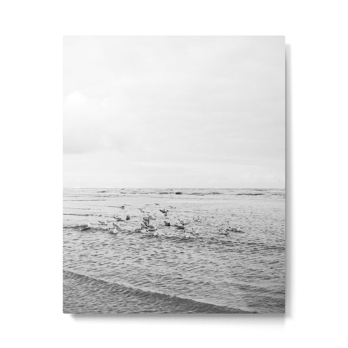 Seagulls II  | Fine art black and white beach photography | The Netherlands Metal Print Gallery Image 1