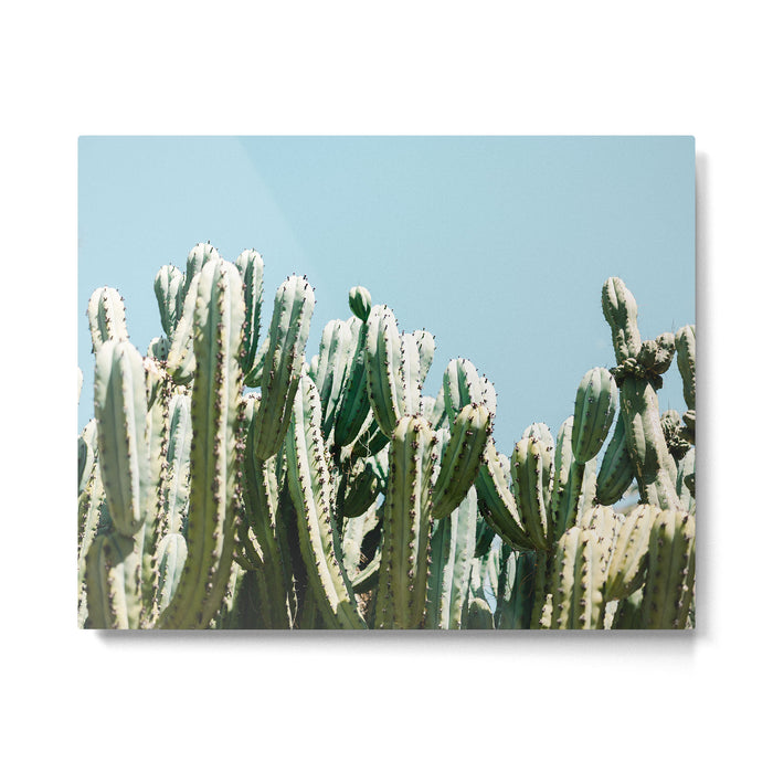 Tall cacti | Cactus photo print | Colourful travel wanderlust photography art Metal Print Gallery Image 1